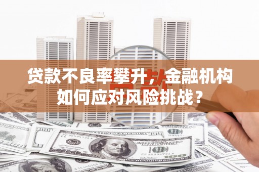 顺昌贷款不良率攀升，金融机构如何应对风险挑战？