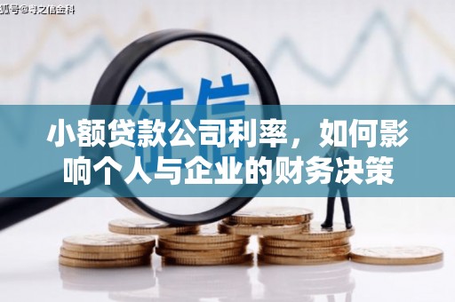 顺昌小额贷款公司利率，如何影响个人与企业的财务决策