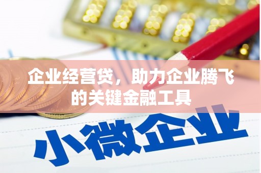 顺昌企业经营贷，助力企业腾飞的关键金融工具