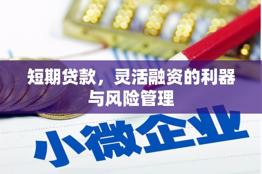 顺昌短期贷款，灵活融资的利器与风险管理