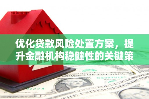 顺昌优化贷款风险处置方案，提升金融机构稳健性的关键策略