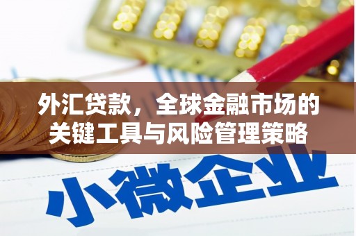 顺昌外汇贷款，全球金融市场的关键工具与风险管理策略