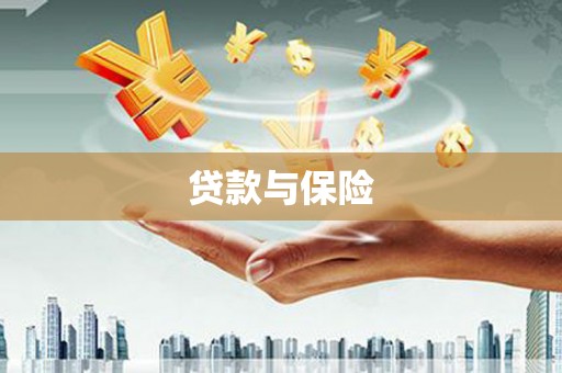 顺昌贷款与保险