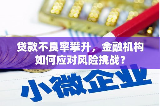 顺昌贷款不良率攀升，金融机构如何应对风险挑战？