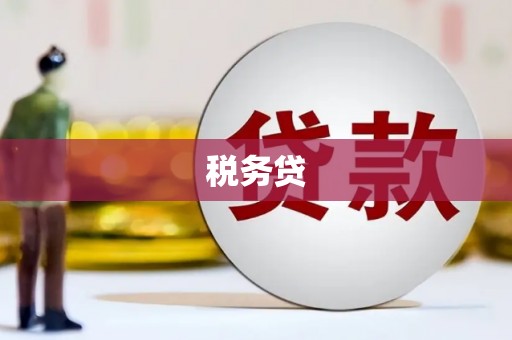 顺昌税务贷