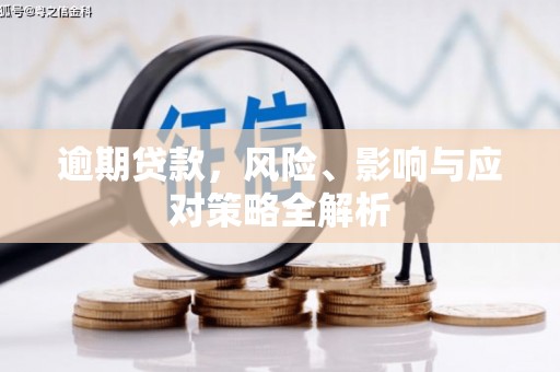 顺昌逾期贷款，风险、影响与应对策略全解析