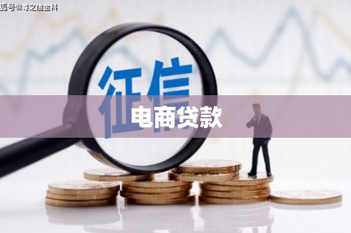 顺昌电商贷款