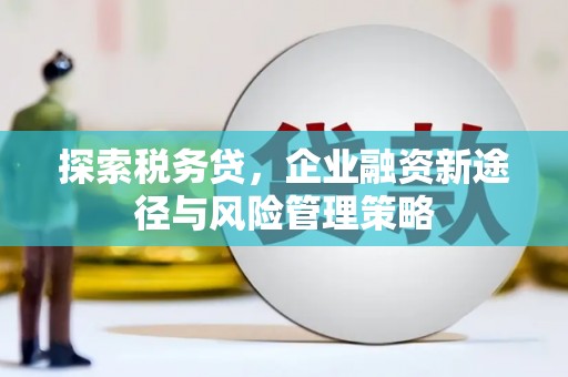 顺昌探索税务贷，企业融资新途径与风险管理策略