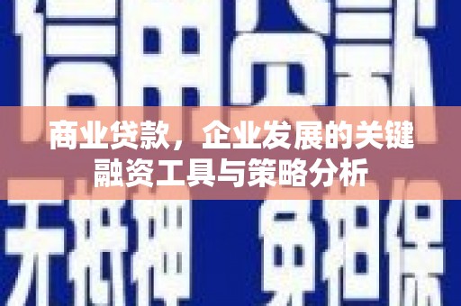 顺昌商业贷款，企业发展的关键融资工具与策略分析