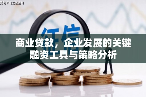 顺昌商业贷款，企业发展的关键融资工具与策略分析