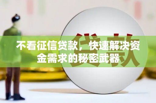 顺昌不看征信贷款，快速解决资金需求的秘密武器