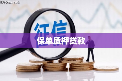 顺昌保单质押贷款