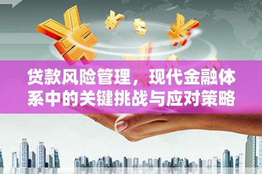 顺昌贷款风险管理，现代金融体系中的关键挑战与应对策略