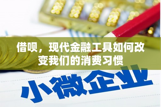 顺昌借呗，现代金融工具如何改变我们的消费习惯