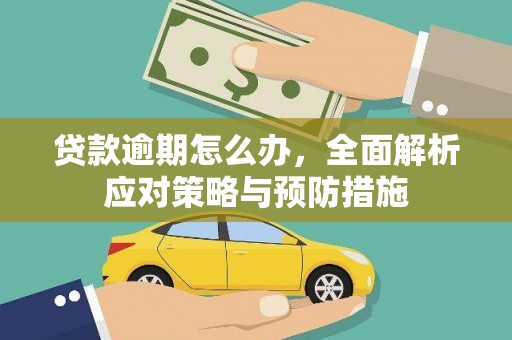 顺昌贷款逾期怎么办，全面解析应对策略与预防措施