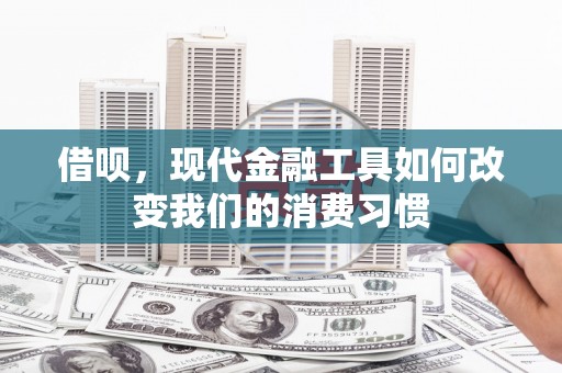 顺昌借呗，现代金融工具如何改变我们的消费习惯