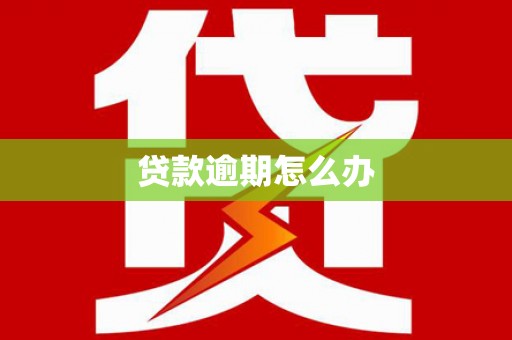 顺昌贷款逾期怎么办