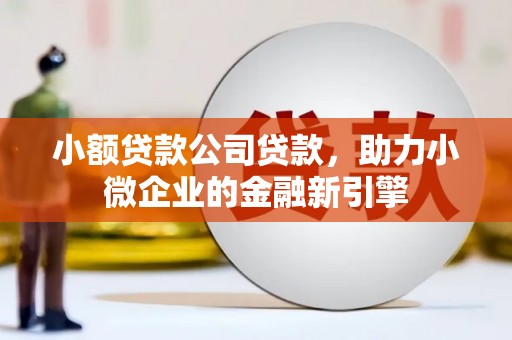 顺昌小额贷款公司贷款，助力小微企业的金融新引擎