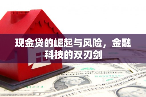 顺昌现金贷的崛起与风险，金融科技的双刃剑