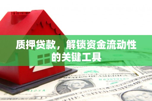 顺昌质押贷款，解锁资金流动性的关键工具