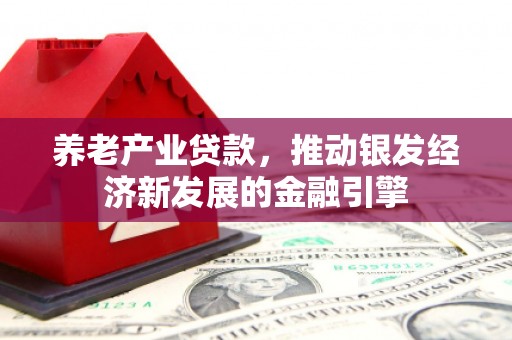 顺昌养老产业贷款，推动银发经济新发展的金融引擎