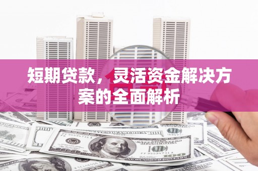 顺昌短期贷款，灵活资金解决方案的全面解析