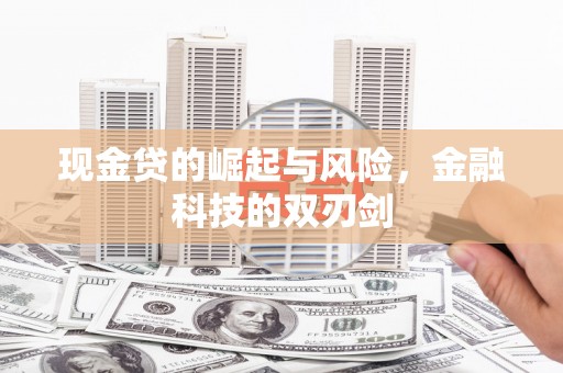 顺昌现金贷的崛起与风险，金融科技的双刃剑
