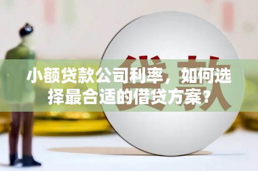 顺昌小额贷款公司利率，如何选择最合适的借贷方案？