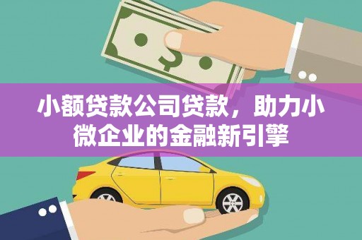 顺昌小额贷款公司贷款，助力小微企业的金融新引擎