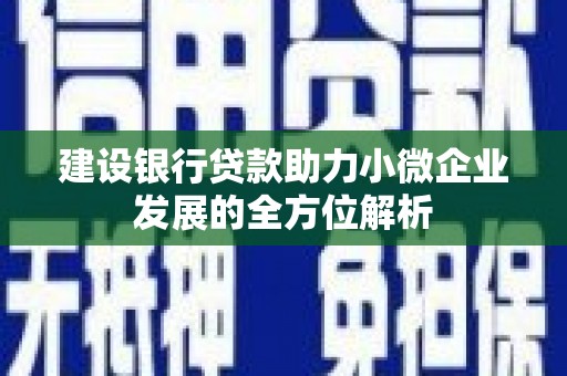 顺昌建设银行贷款助力小微企业发展的全方位解析