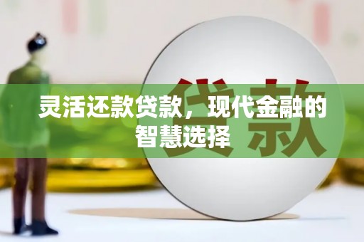 顺昌灵活还款贷款，现代金融的智慧选择