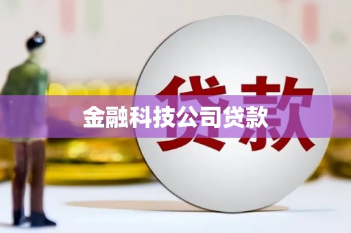 顺昌金融科技公司贷款