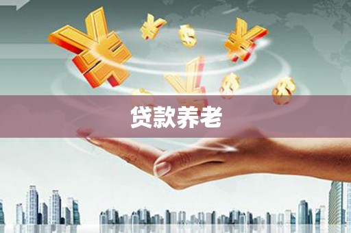 顺昌贷款养老