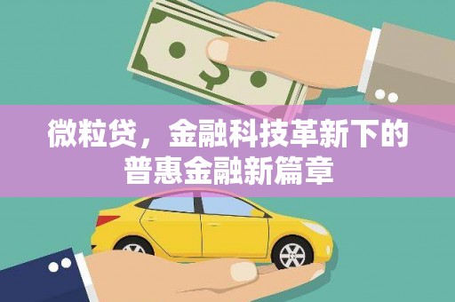 顺昌微粒贷，金融科技革新下的普惠金融新篇章
