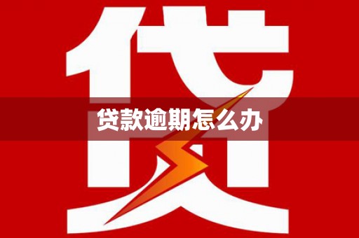 顺昌贷款逾期怎么办