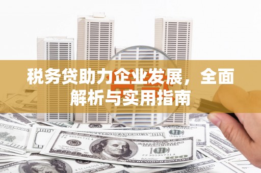 顺昌税务贷助力企业发展，全面解析与实用指南