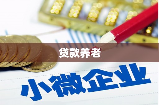 顺昌贷款养老