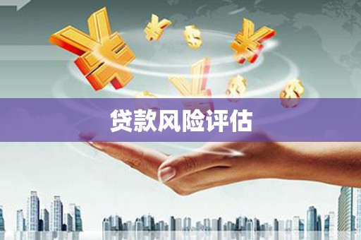 顺昌贷款风险评估