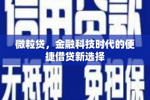 顺昌微粒贷，金融科技时代的便捷借贷新选择