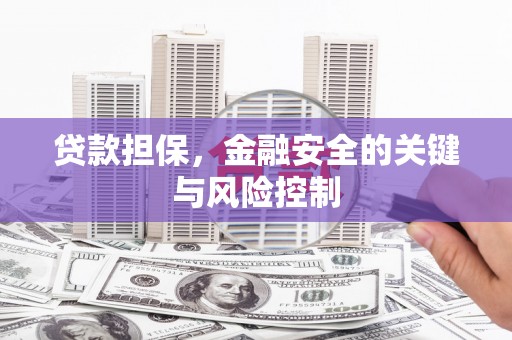 顺昌贷款担保，金融安全的关键与风险控制