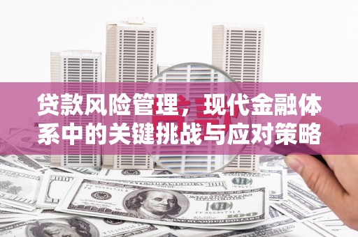 顺昌贷款风险管理，现代金融体系中的关键挑战与应对策略