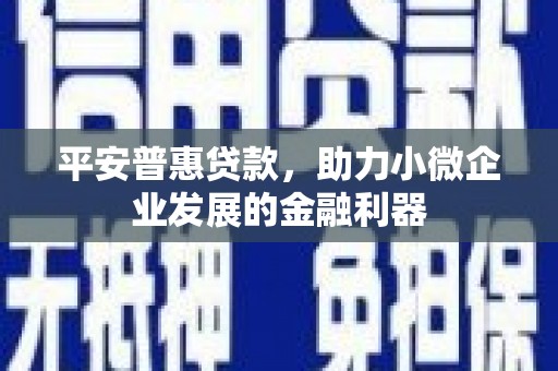 顺昌平安普惠贷款，助力小微企业发展的金融利器