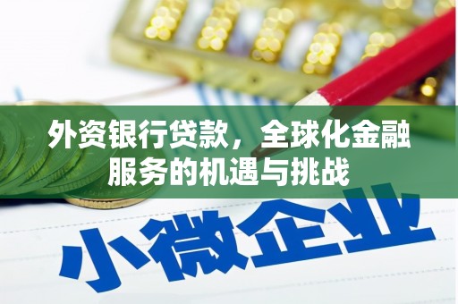 顺昌外资银行贷款，全球化金融服务的机遇与挑战