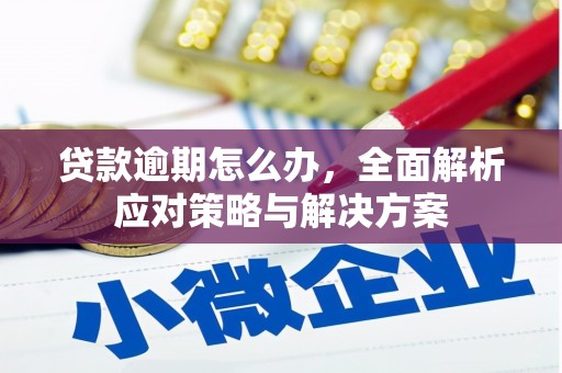 顺昌贷款逾期怎么办，全面解析应对策略与解决方案