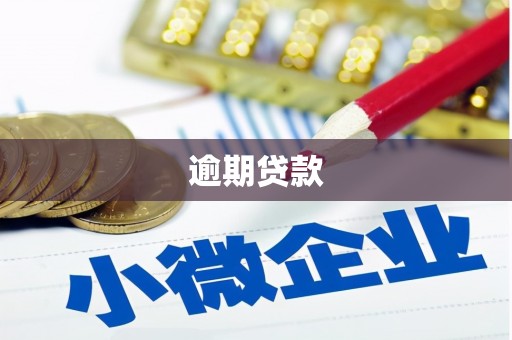 顺昌逾期贷款