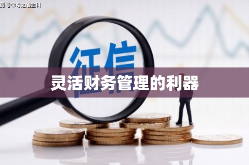 顺昌灵活财务管理的利器