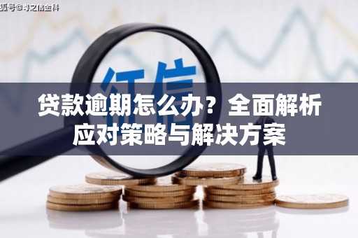 顺昌贷款逾期怎么办？全面解析应对策略与解决方案