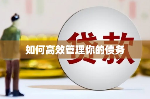 顺昌如何高效管理你的债务