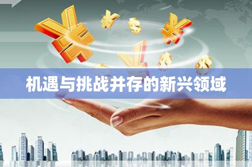 顺昌机遇与挑战并存的新兴领域