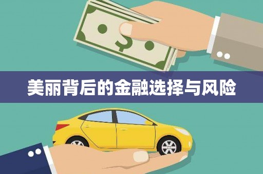 顺昌美丽背后的金融选择与风险